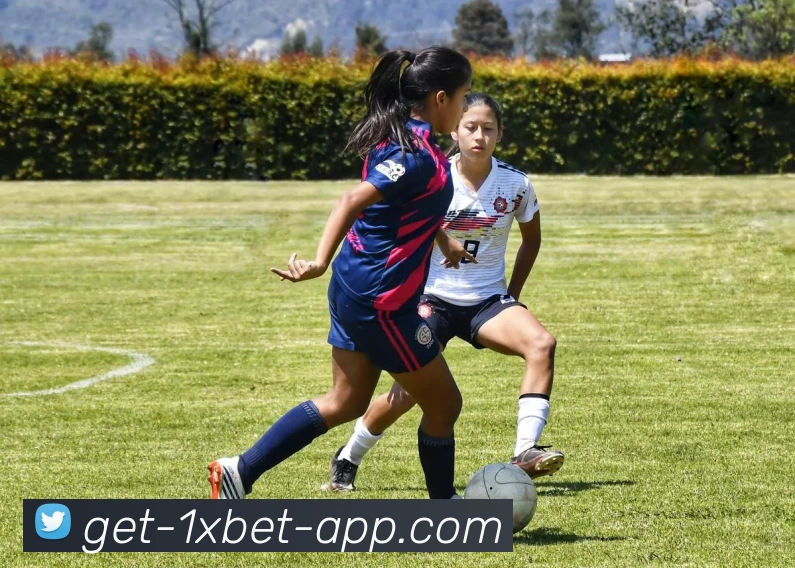 App Interface Preview